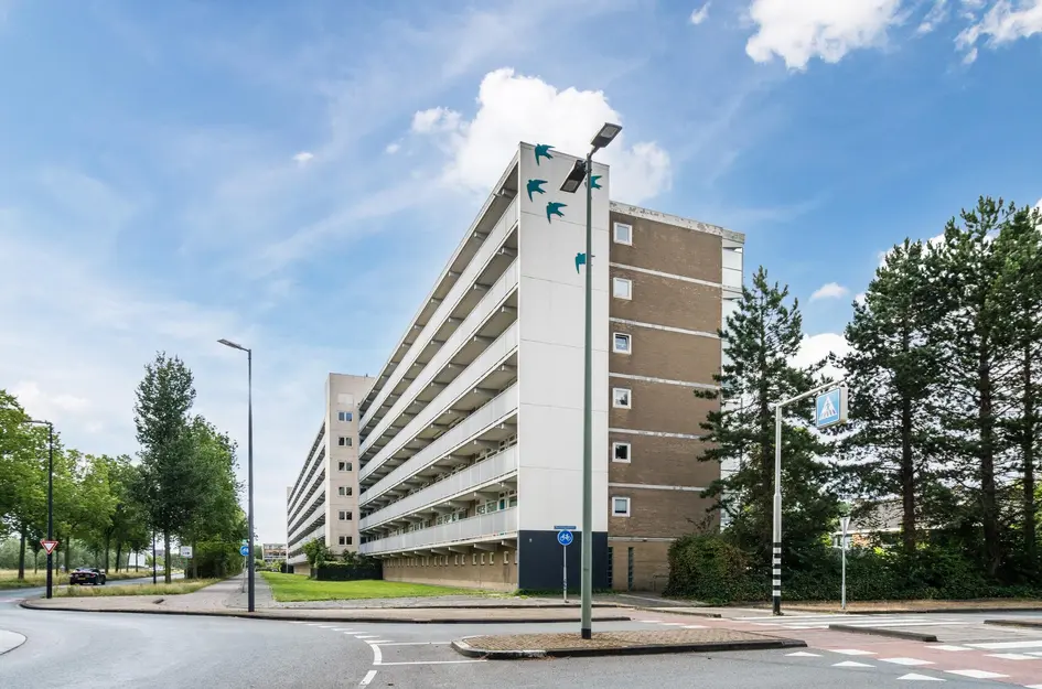 Zwaluwstraat 234