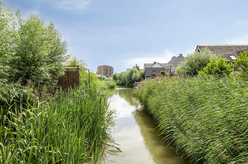 Blikveld 17