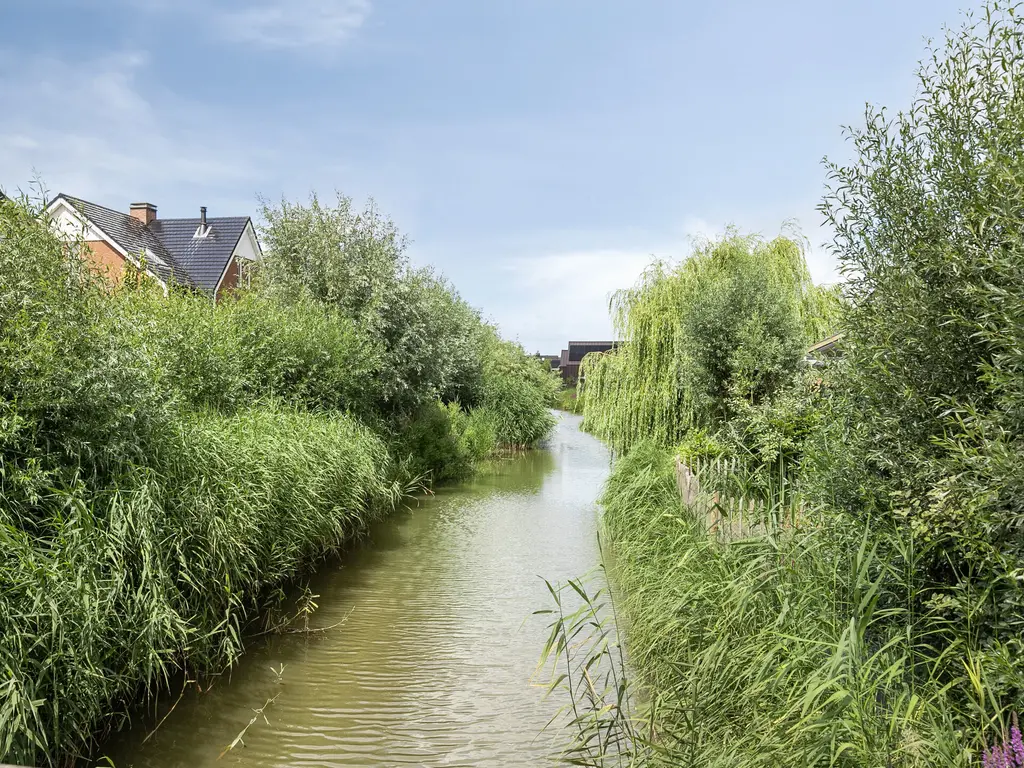 Blikveld 17, MAASSLUIS