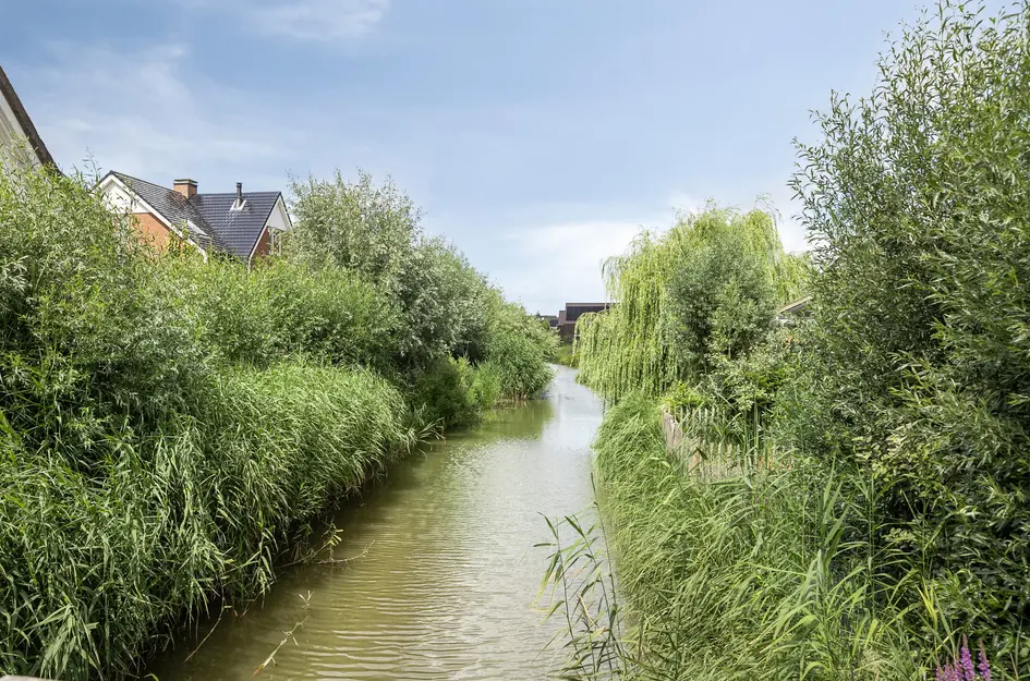 Blikveld 17