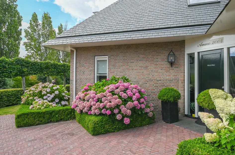 Nolweg 2D