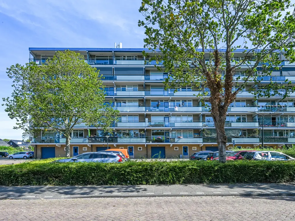 Buizerdstraat 144, MAASSLUIS