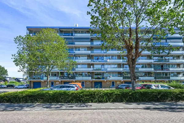 Buizerdstraat 144