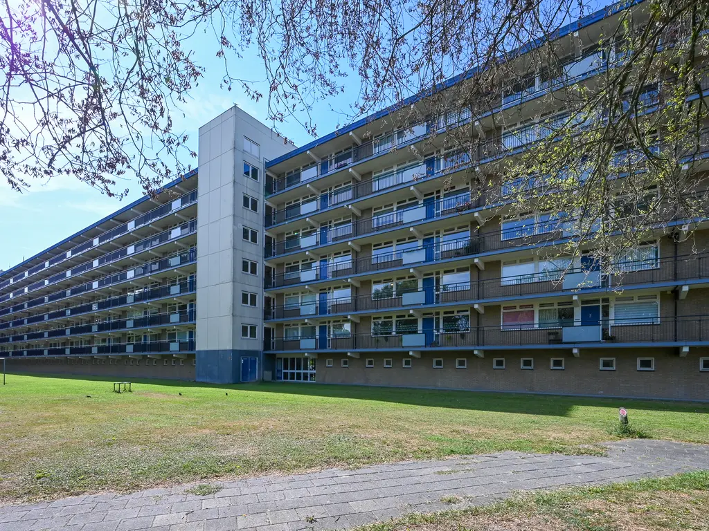 Buizerdstraat 144, MAASSLUIS