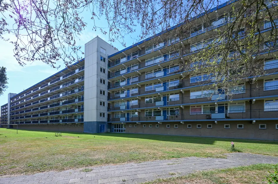 Buizerdstraat 144