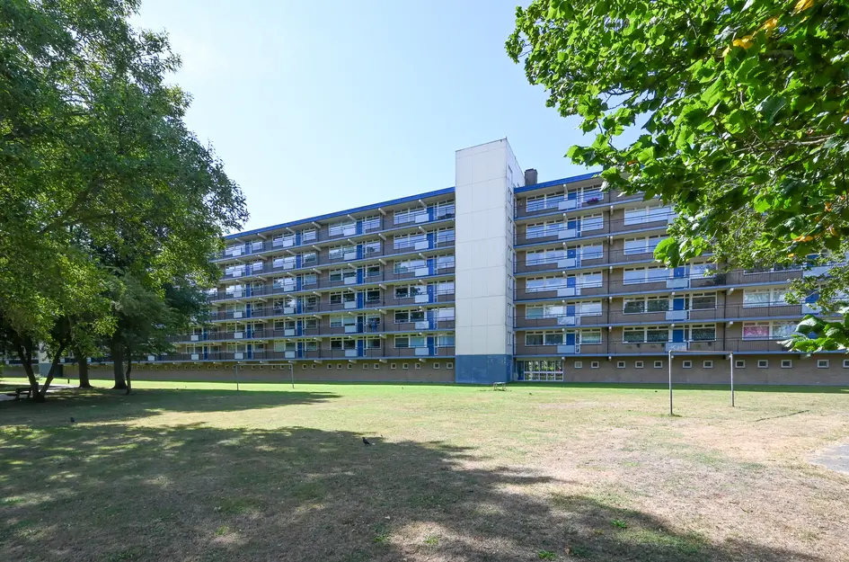 Buizerdstraat 144