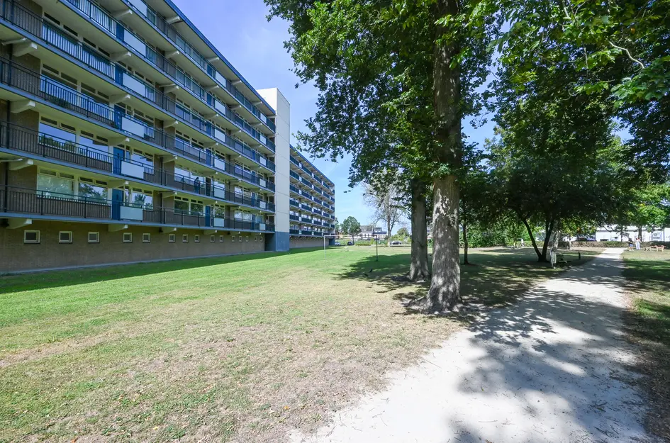 Buizerdstraat 144