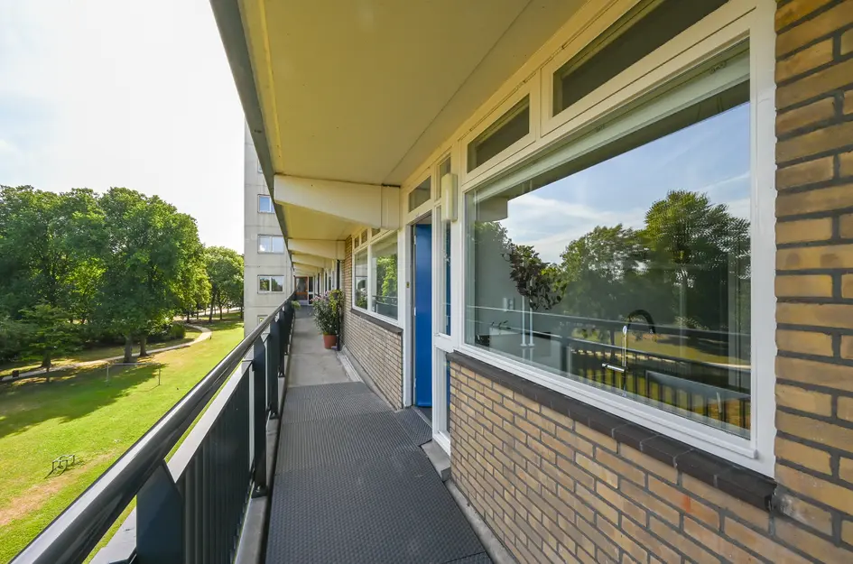 Buizerdstraat 144