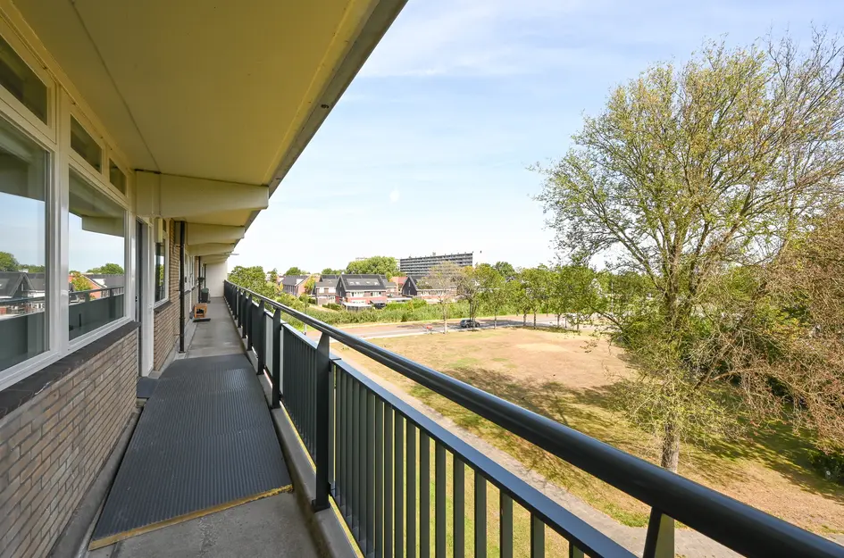 Buizerdstraat 144