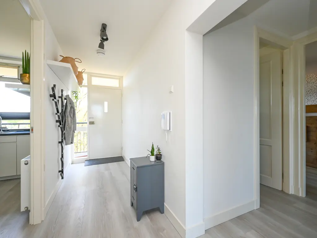 Buizerdstraat 144, MAASSLUIS