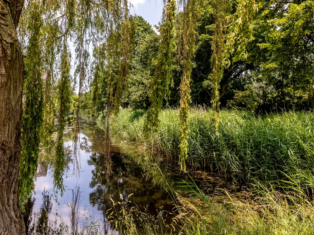 Schepradmolen 20, MAASSLUIS