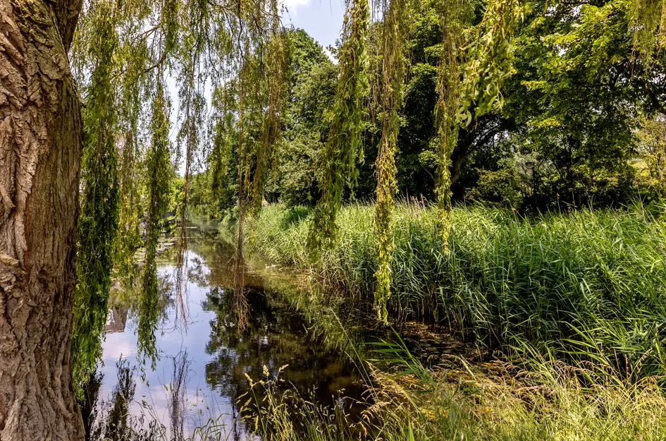 Schepradmolen 20