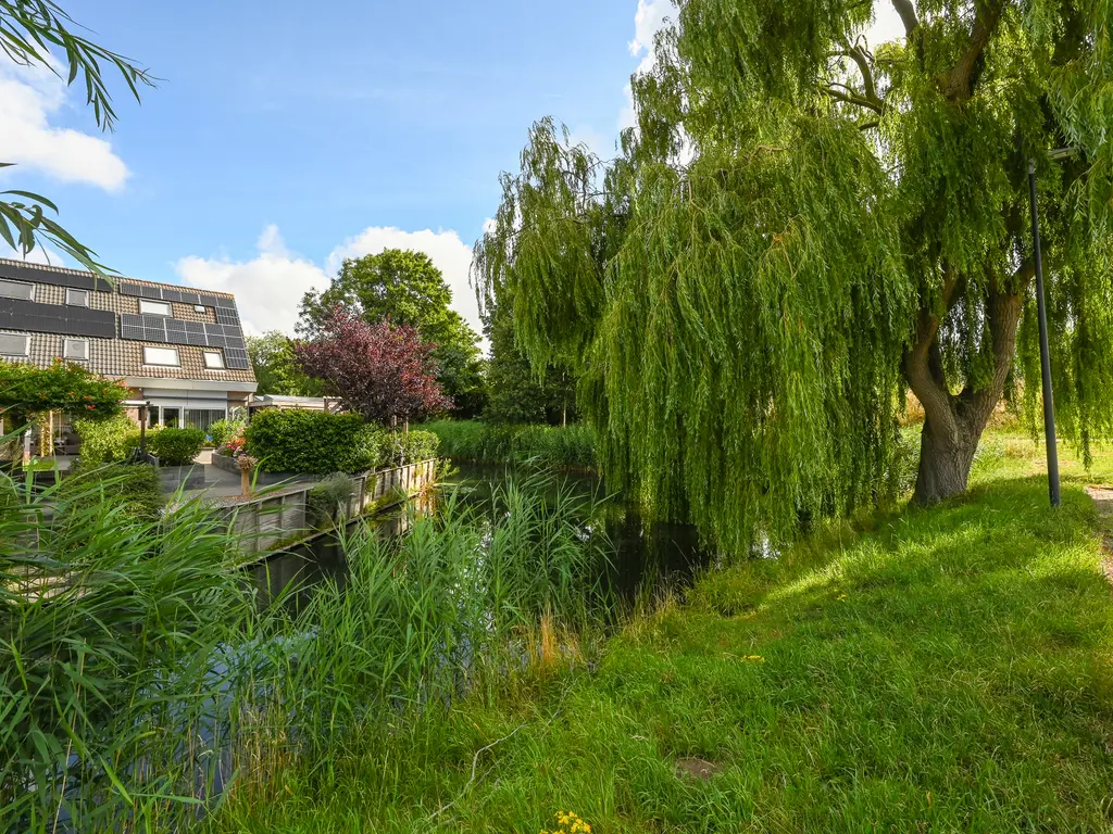 Schepradmolen 20, MAASSLUIS