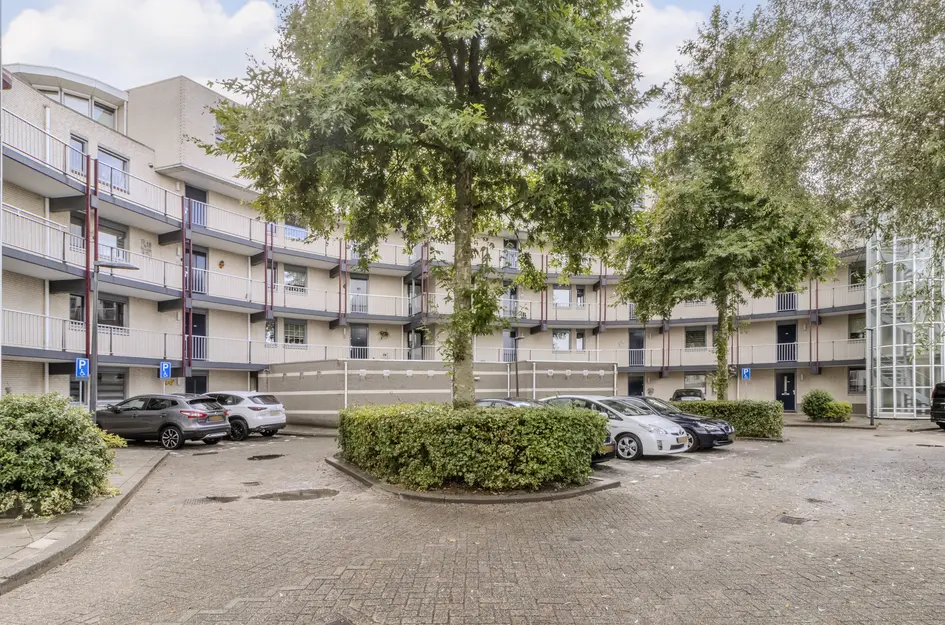 Kamilleveld 57