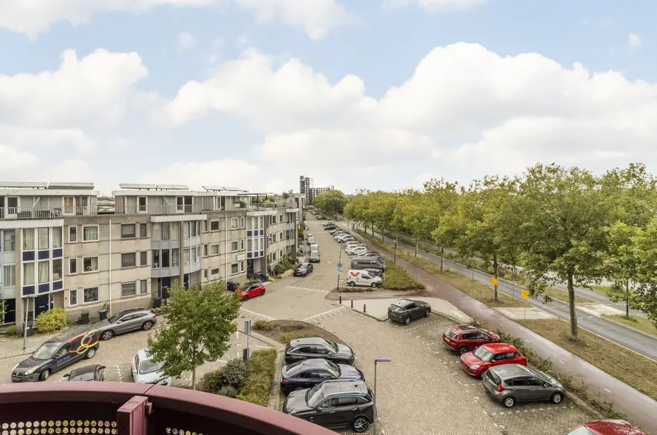 Kamilleveld 57