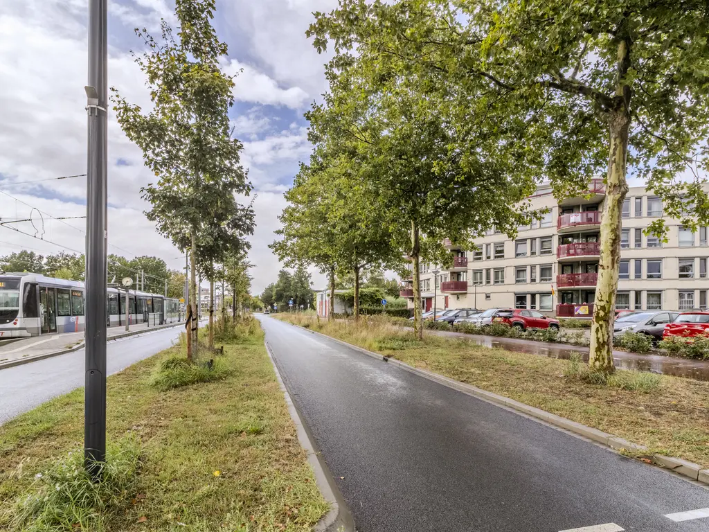 Kamilleveld 57, SCHIEDAM
