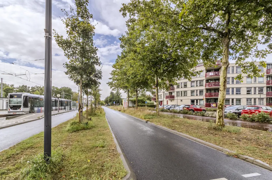 Kamilleveld 57