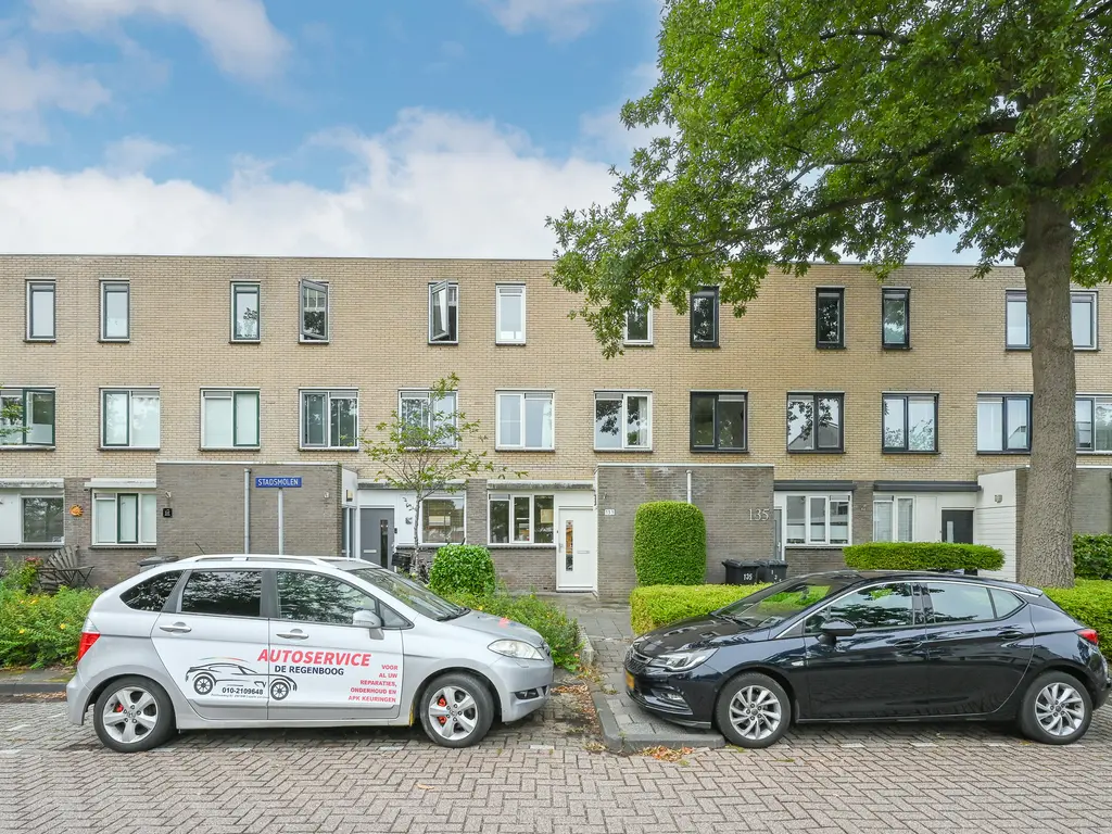 Stadsmolen 133, MAASSLUIS