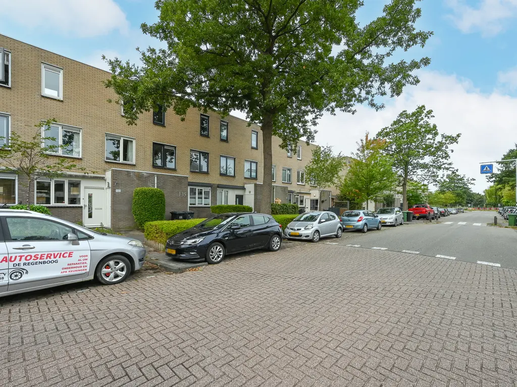 Stadsmolen 133, MAASSLUIS
