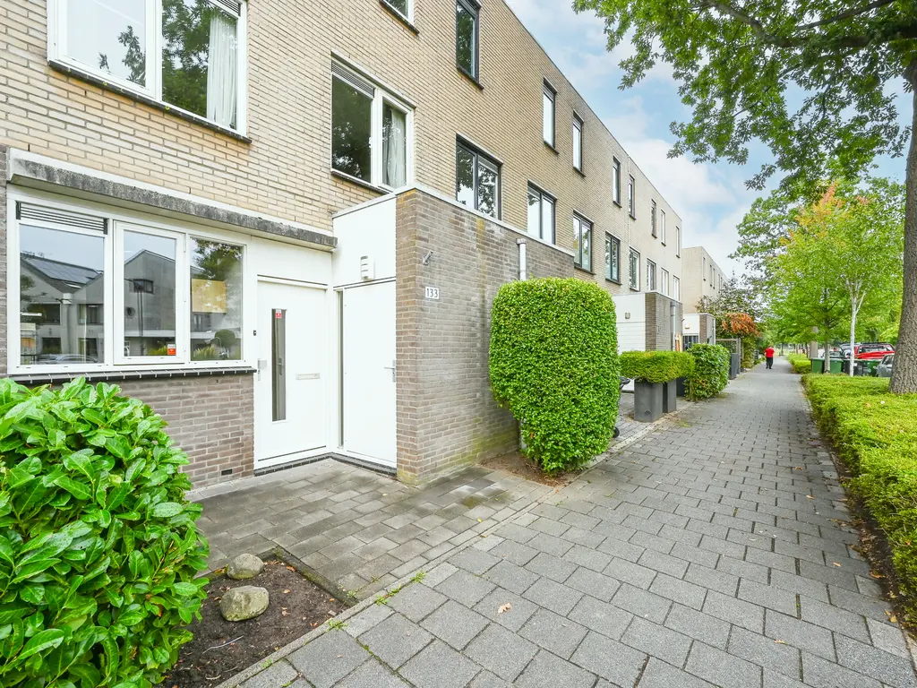Stadsmolen 133, MAASSLUIS