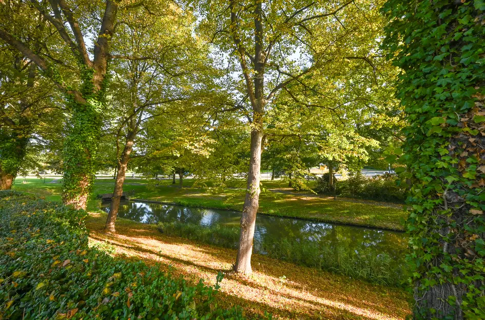 Noorddijk 81