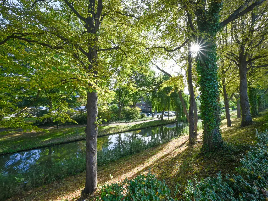 Noorddijk 81, MAASSLUIS