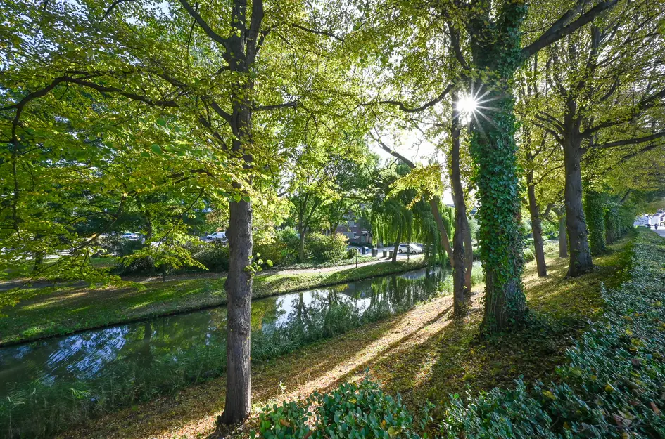 Noorddijk 81