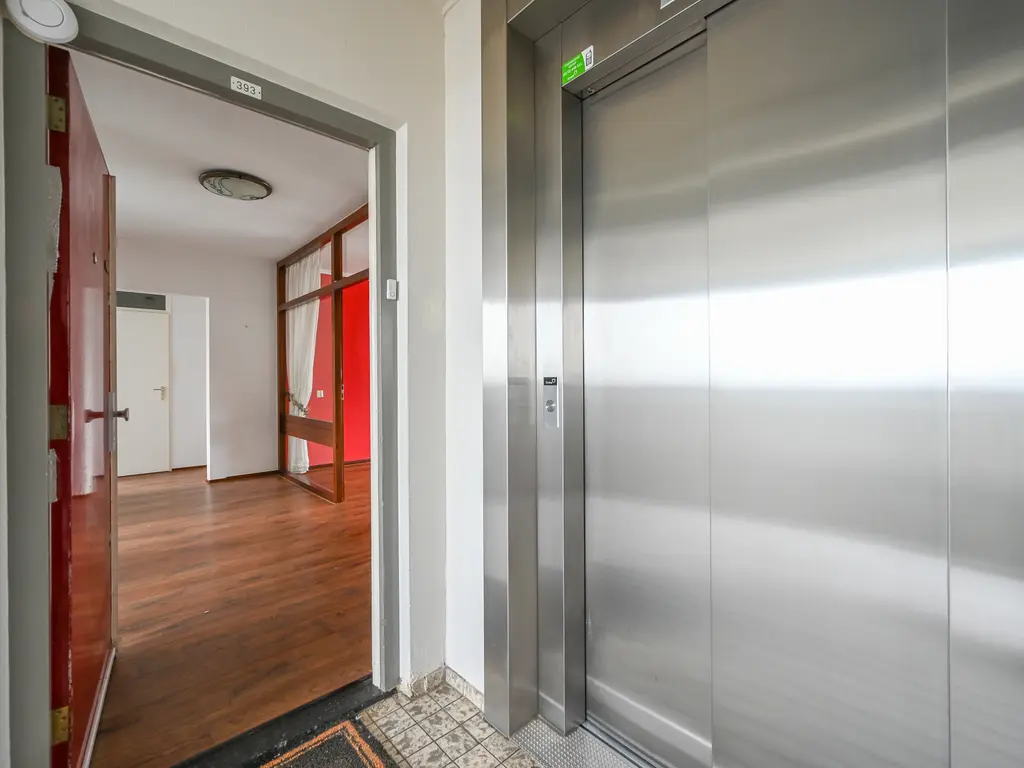 Merellaan 393, MAASSLUIS