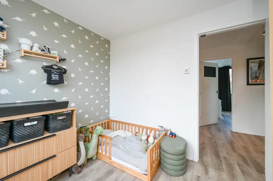 Pieter de Hoochstraat 4