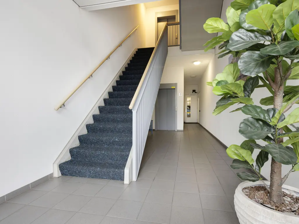 Haven 36B, MAASSLUIS