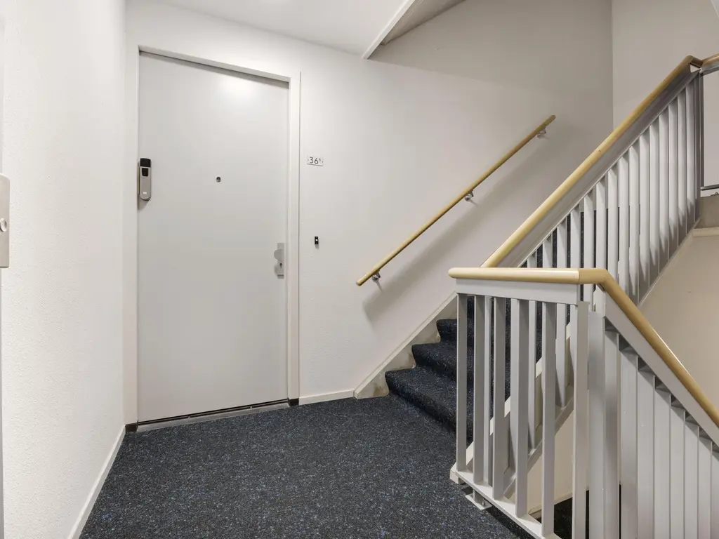 Haven 36B, MAASSLUIS