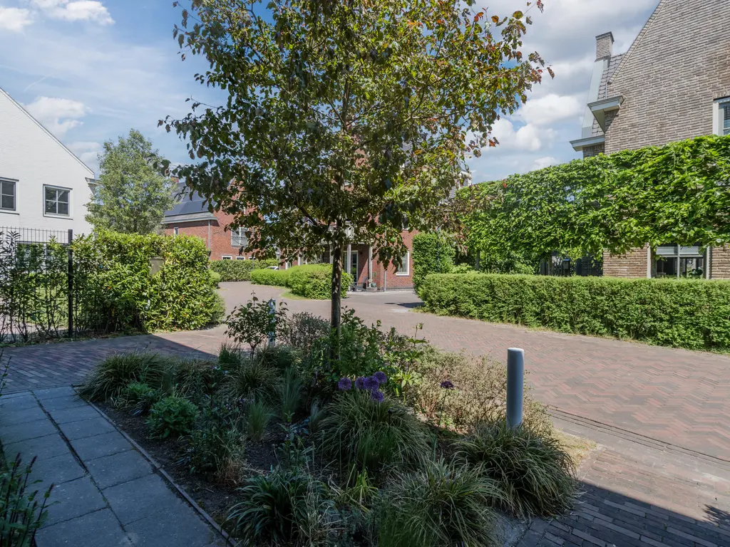 Eiland 15, MAASSLUIS