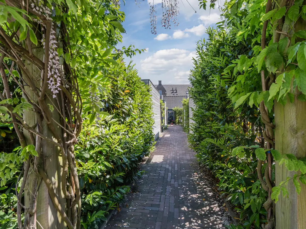 Eiland 15, MAASSLUIS