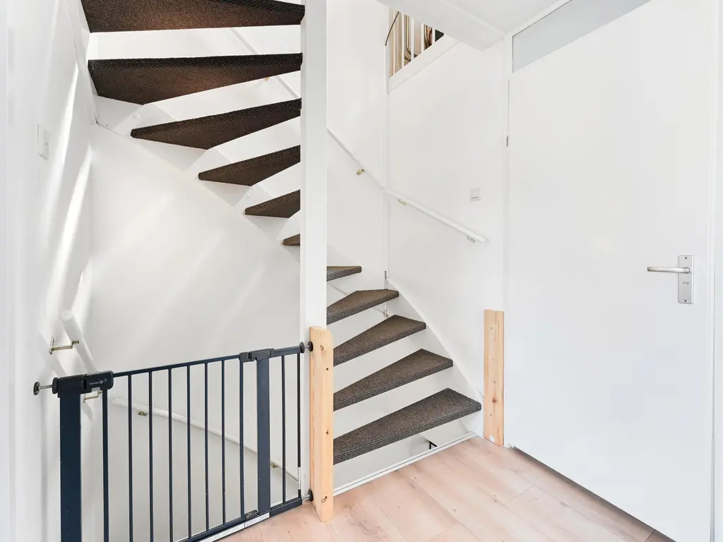 Hondsdraf 49, MAASLAND