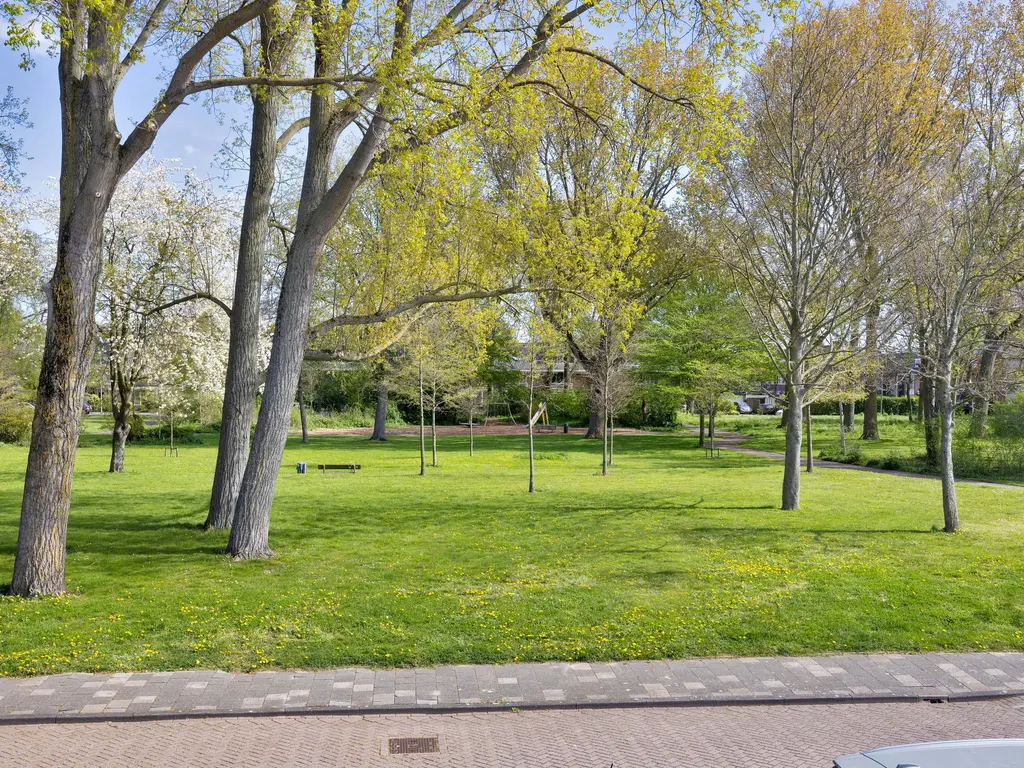 Lepelaarplantsoen 95, MAASSLUIS