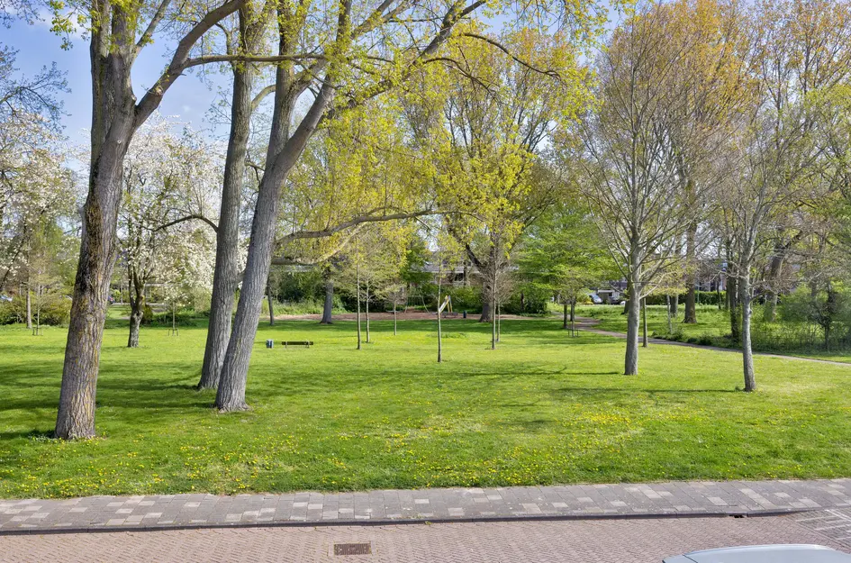 Lepelaarplantsoen 95