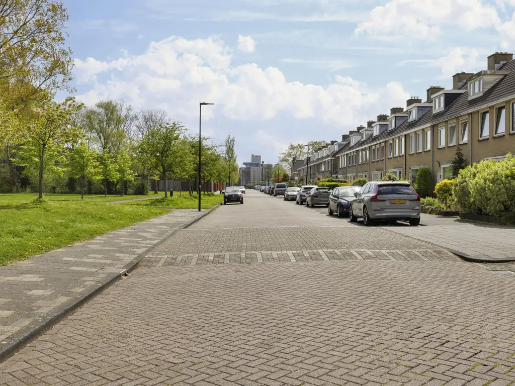 Lepelaarplantsoen 95, MAASSLUIS