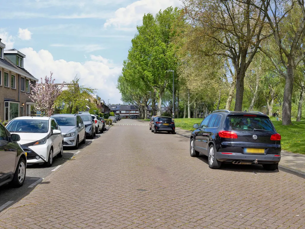 Lepelaarplantsoen 95, MAASSLUIS