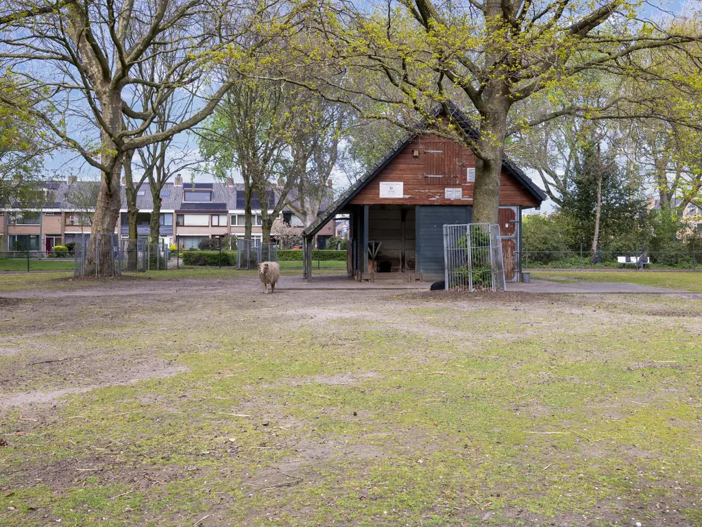 Lepelaarplantsoen 95, MAASSLUIS