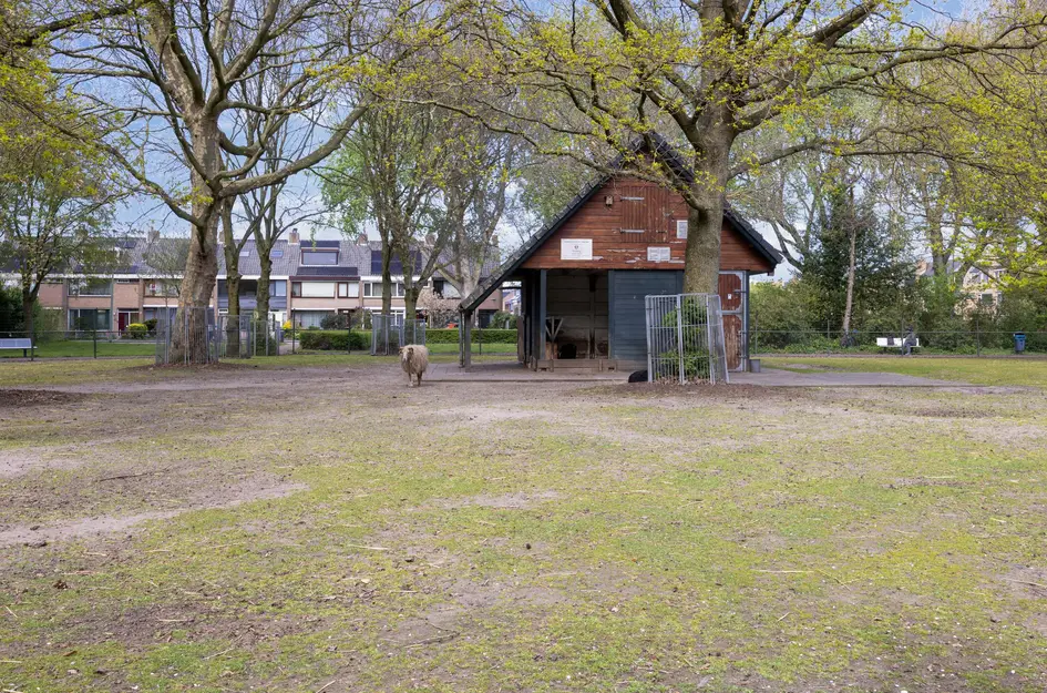 Lepelaarplantsoen 95