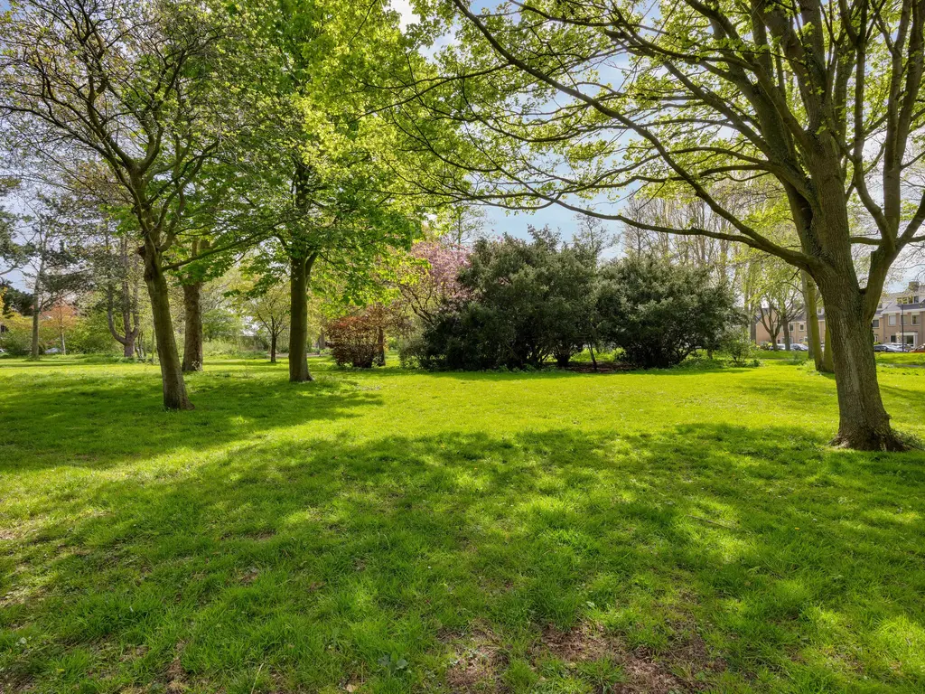 Lepelaarplantsoen 95, MAASSLUIS