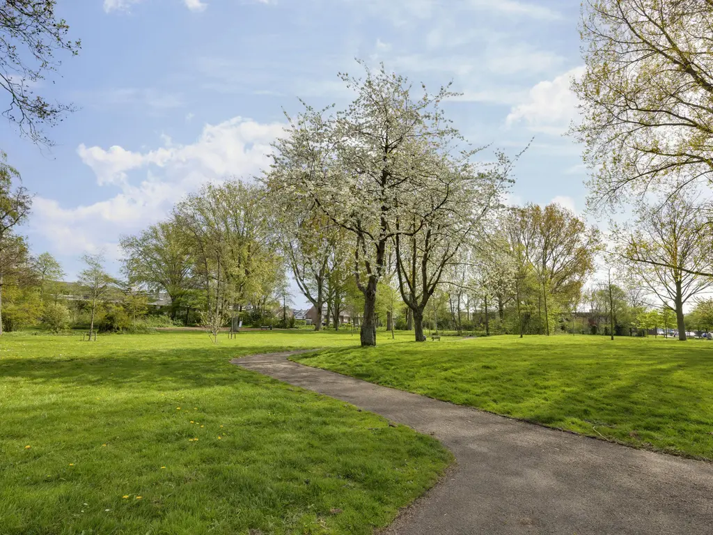 Lepelaarplantsoen 95, MAASSLUIS