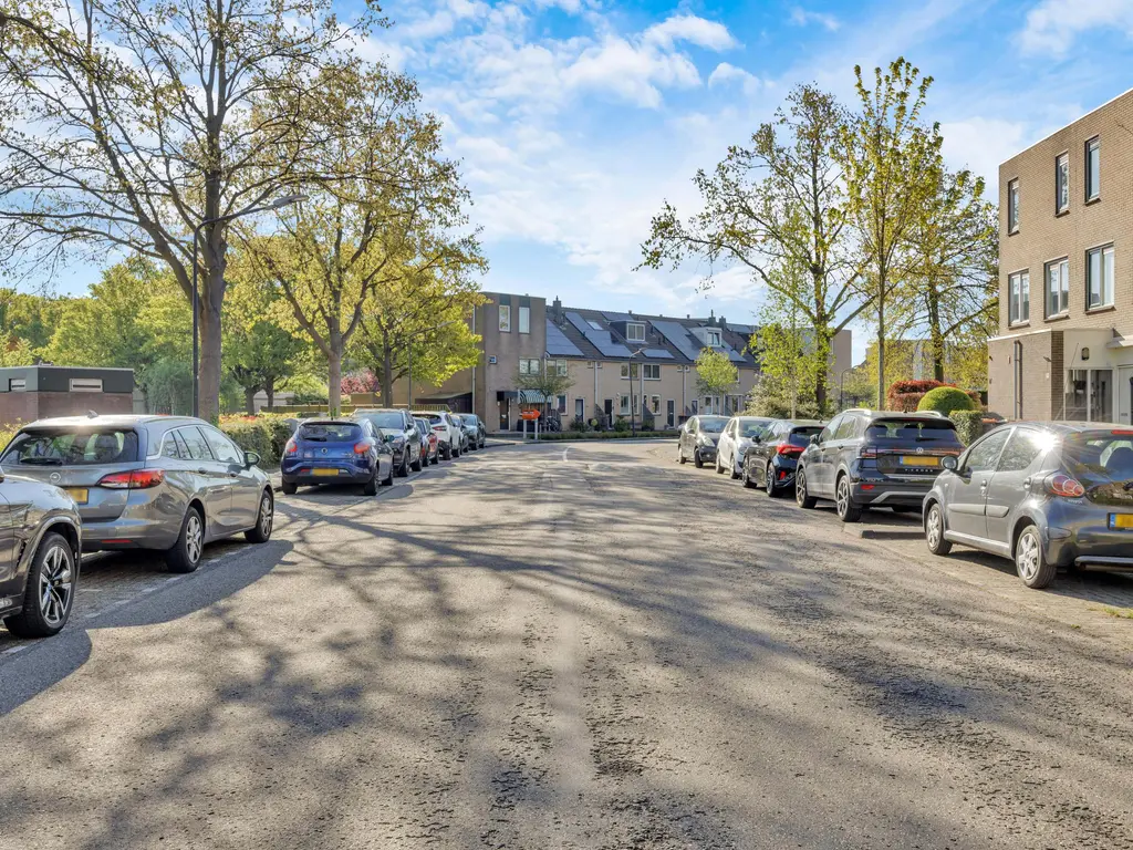 Stadsmolen 131, MAASSLUIS