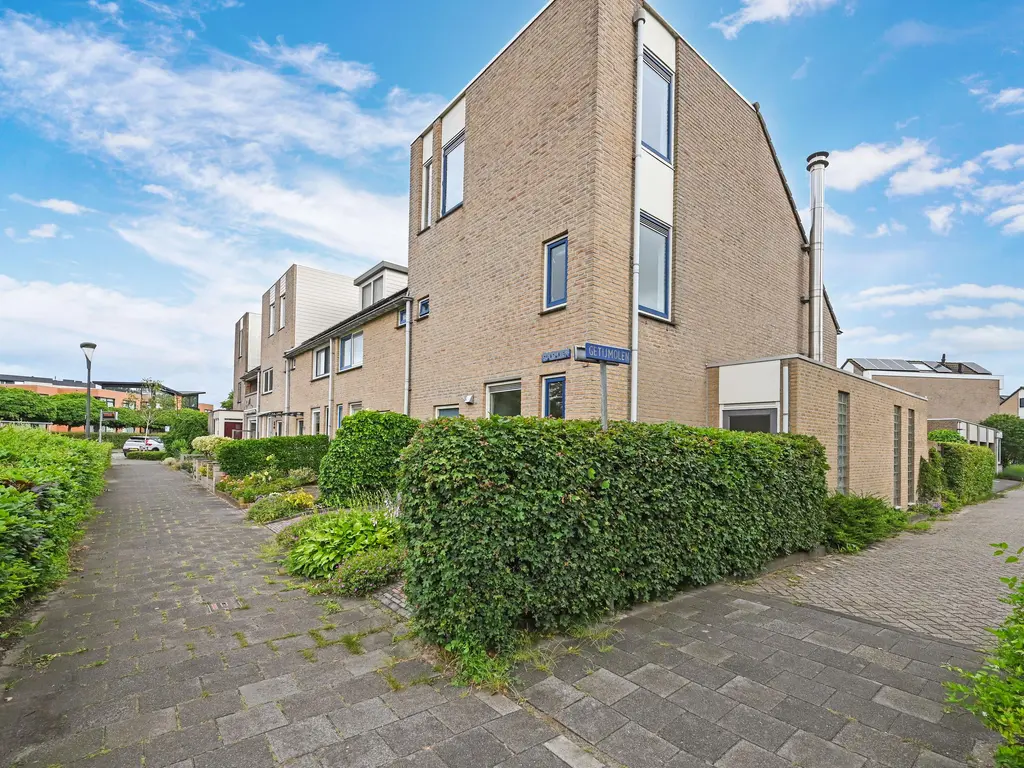 Stadsmolen 2, MAASSLUIS