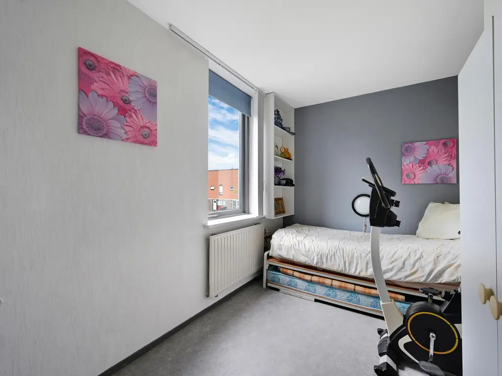 Stadsmolen 2, MAASSLUIS