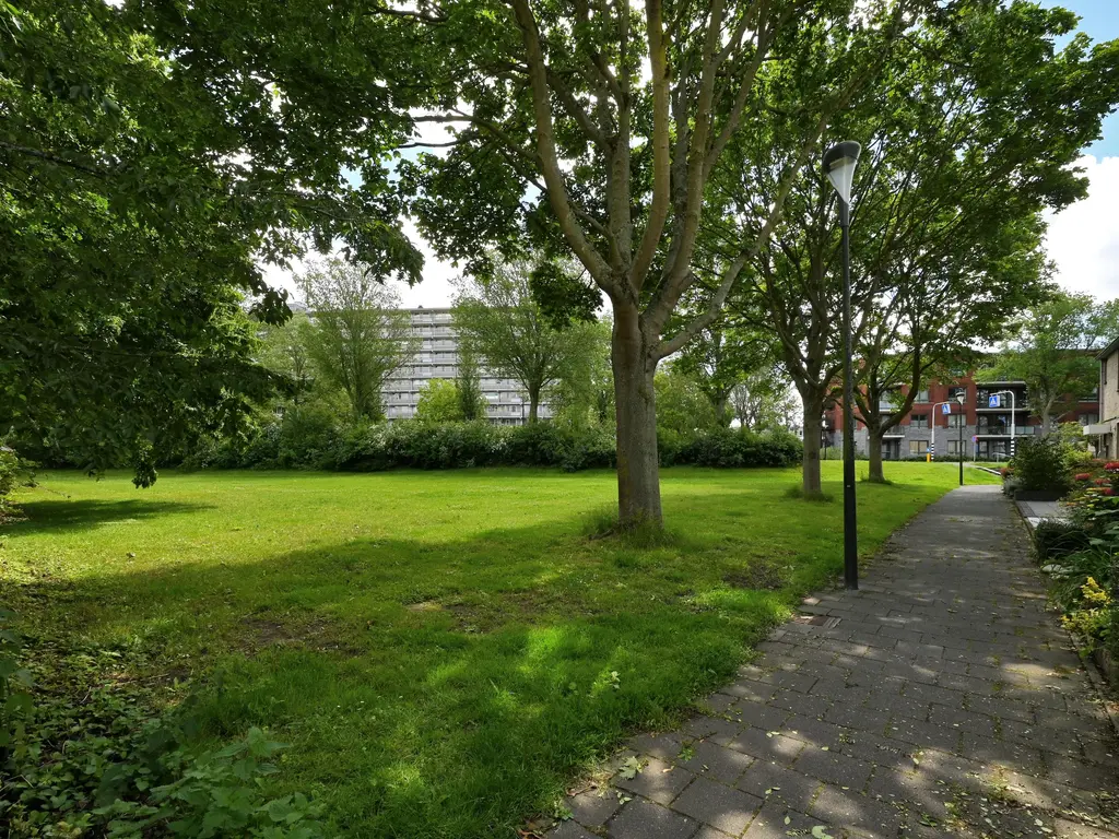 Vijzelmolen 10, MAASSLUIS