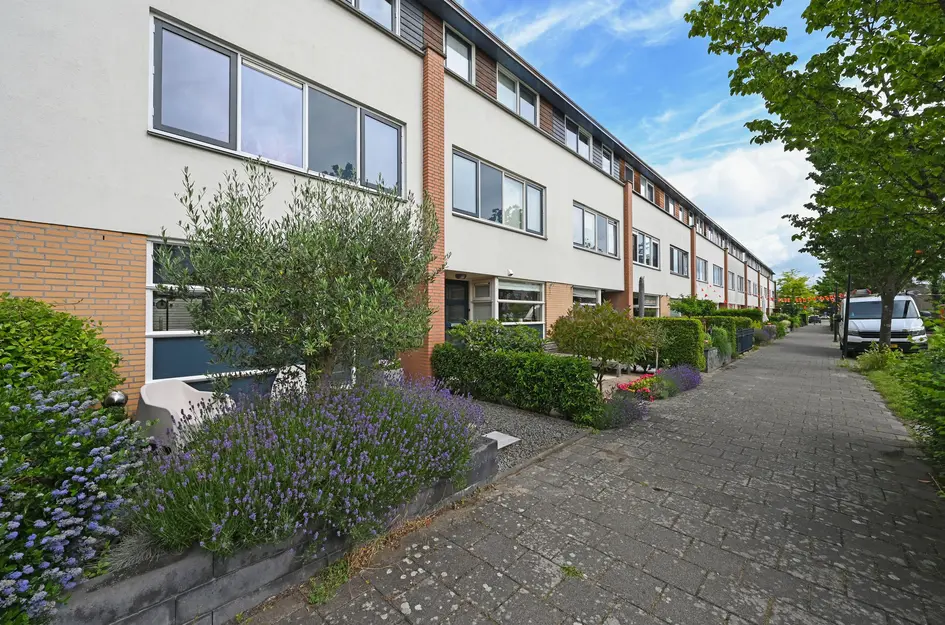 Plevierstraat 62