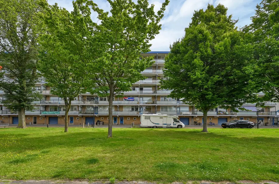Buizerdstraat 240