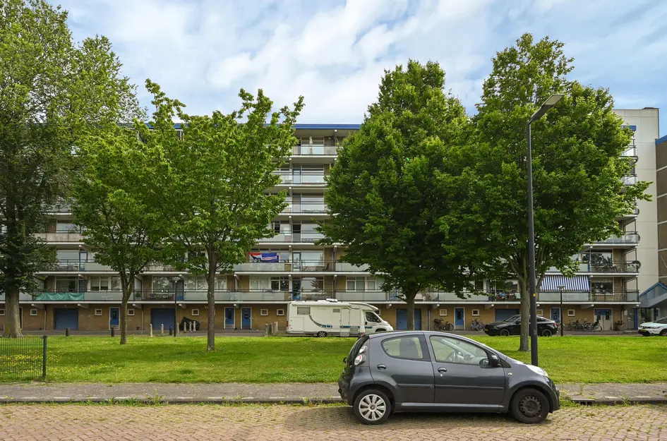 Buizerdstraat 240