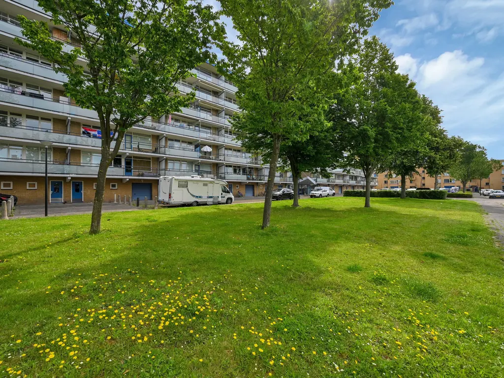 Buizerdstraat 240, MAASSLUIS
